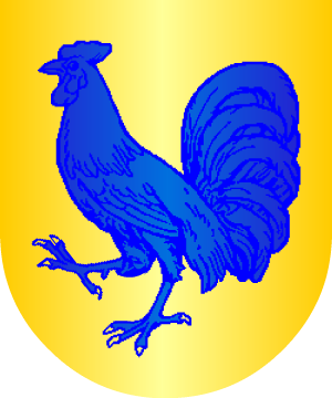 ESCUDO ALEATORIO