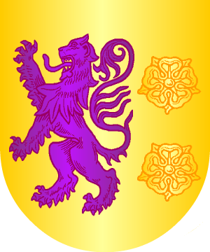 ESCUDO SIGUIENTE