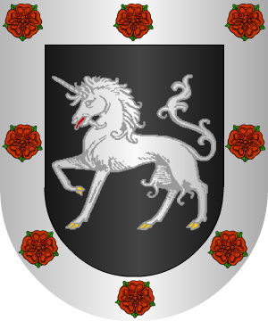 ESCUDO ALEATORIO