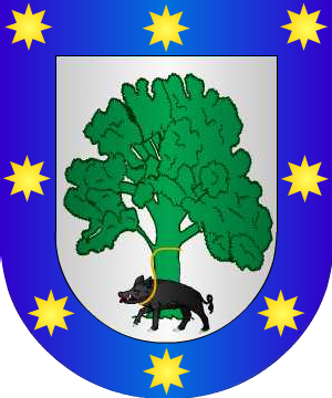 ESCUDO ALEATORIO