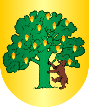 ESCUDO ALEATORIO