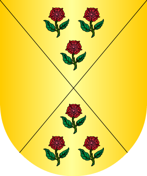 ESCUDO SIGUIENTE