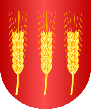 ESCUDO ALEATORIO