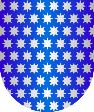 ESCUDO ALEATORIO