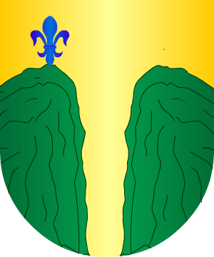 ESCUDO ALEATORIO