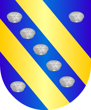 ESCUDO ALEATORIO
