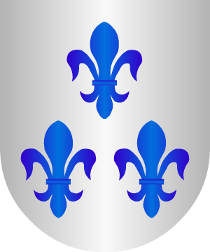ESCUDO SIGUIENTE