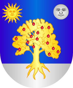 ESCUDO SIGUIENTE