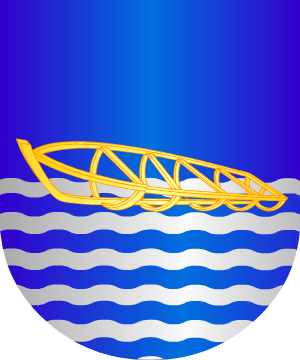 ESCUDO SIGUIENTE