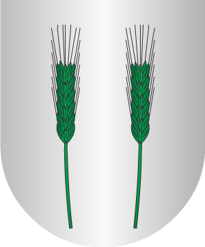 ESCUDO SIGUIENTE