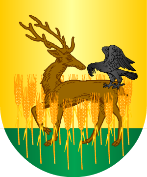 ESCUDO ALEATORIO
