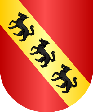ESCUDO ALEATORIO