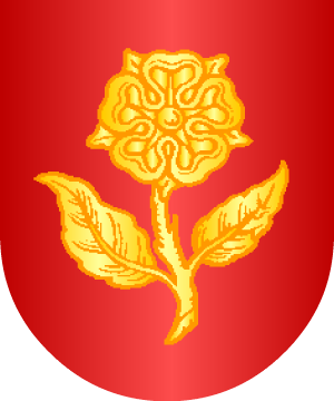 ESCUDO SIGUIENTE