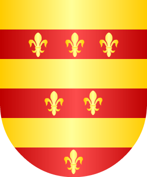 ESCUDO SIGUIENTE