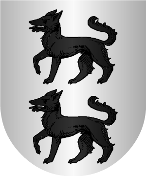 ESCUDO SIGUIENTE