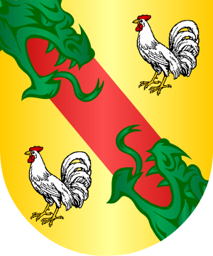 ESCUDO ALEATORIO