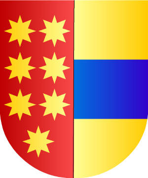ESCUDO SIGUIENTE