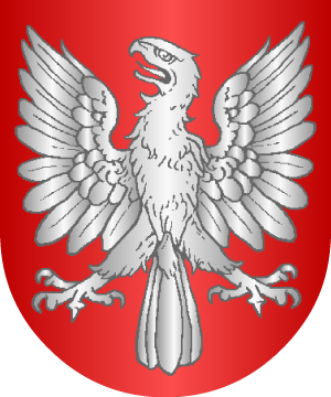 ESCUDO ALEATORIO