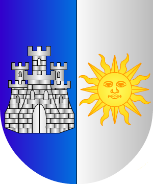 ESCUDO PRECEDENTE