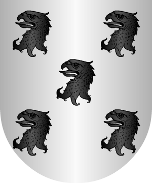 ESCUDO SIGUIENTE