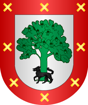 ESCUDO ALEATORIO
