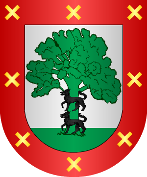 ESCUDO ALEATORIO