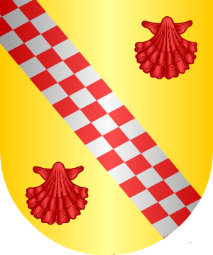 ESCUDO ALEATORIO