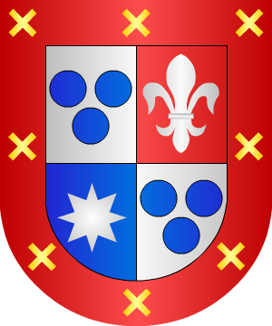 ESCUDO SIGUIENTE