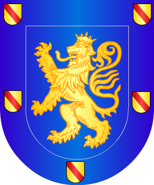 ESCUDO SIGUIENTE