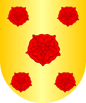 ESCUDO PRECEDENTE